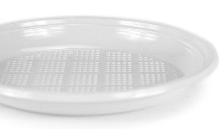 Direttiva Sup e piatti di plastica usa e getta: ancora presenti in