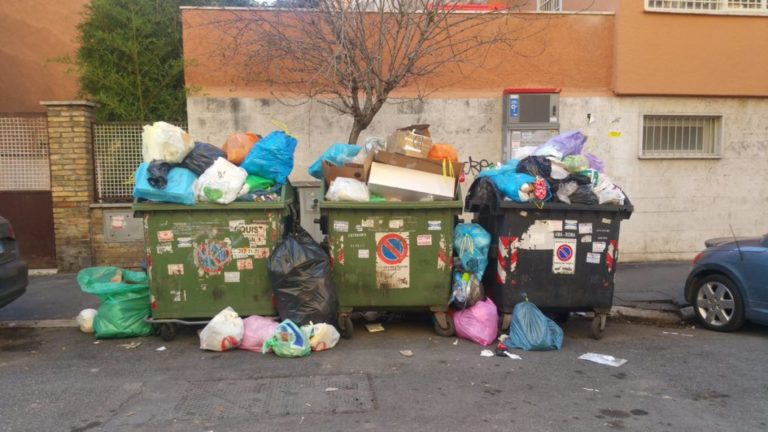 Pinuccia Montanari contro l’inceneritore a Roma: “Incredibile, prospettiva del secolo scorso”