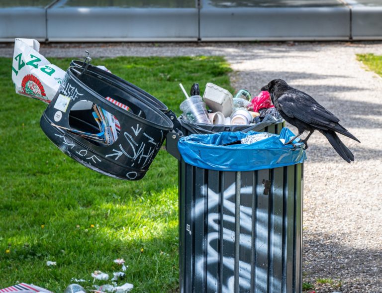 Legambiente park litter