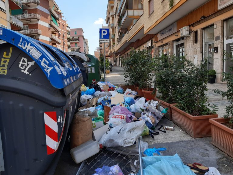 Rifiuti di Roma, ex assessora Montanari: “Inceneritore una follia, bisogna sviluppare porta a porta e impianti circolari”