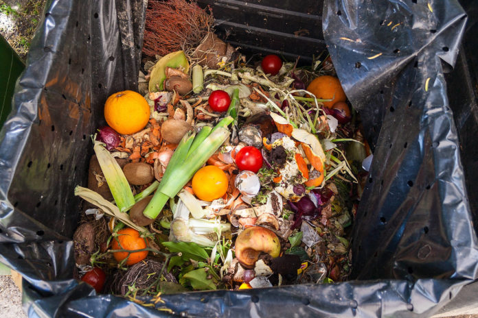 spreco alimentare Terra Madre