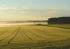 agroalimentare italiano cambiamento climatico