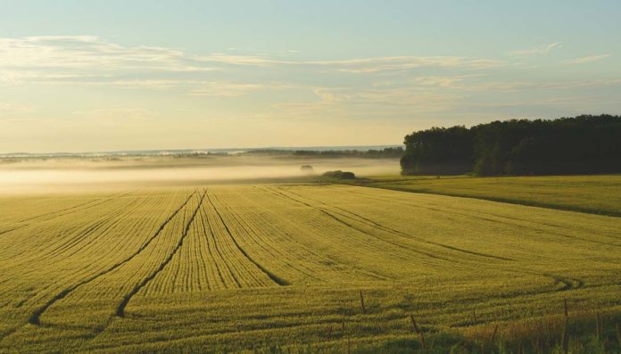 agroalimentare italiano cambiamento climatico