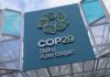 cop29 wwf baku