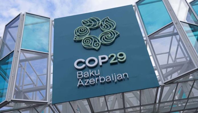 cop29 wwf baku