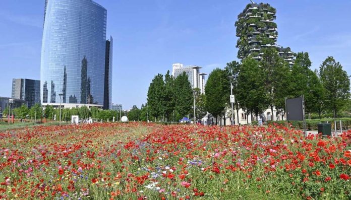 Giornata Mondiale del Suolo Milano